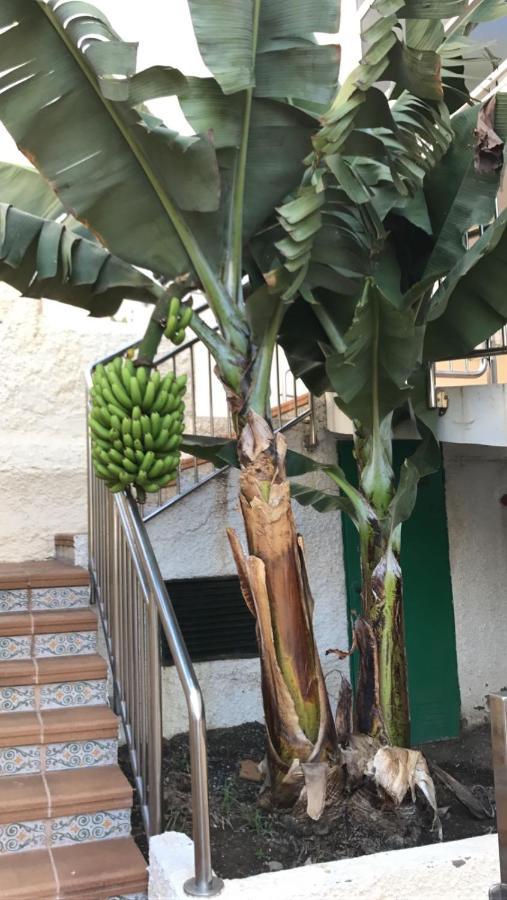 In The Heart Of Playa Del Ingles Apartment San Bartolomé Exterior photo